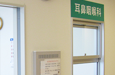 科の特徴