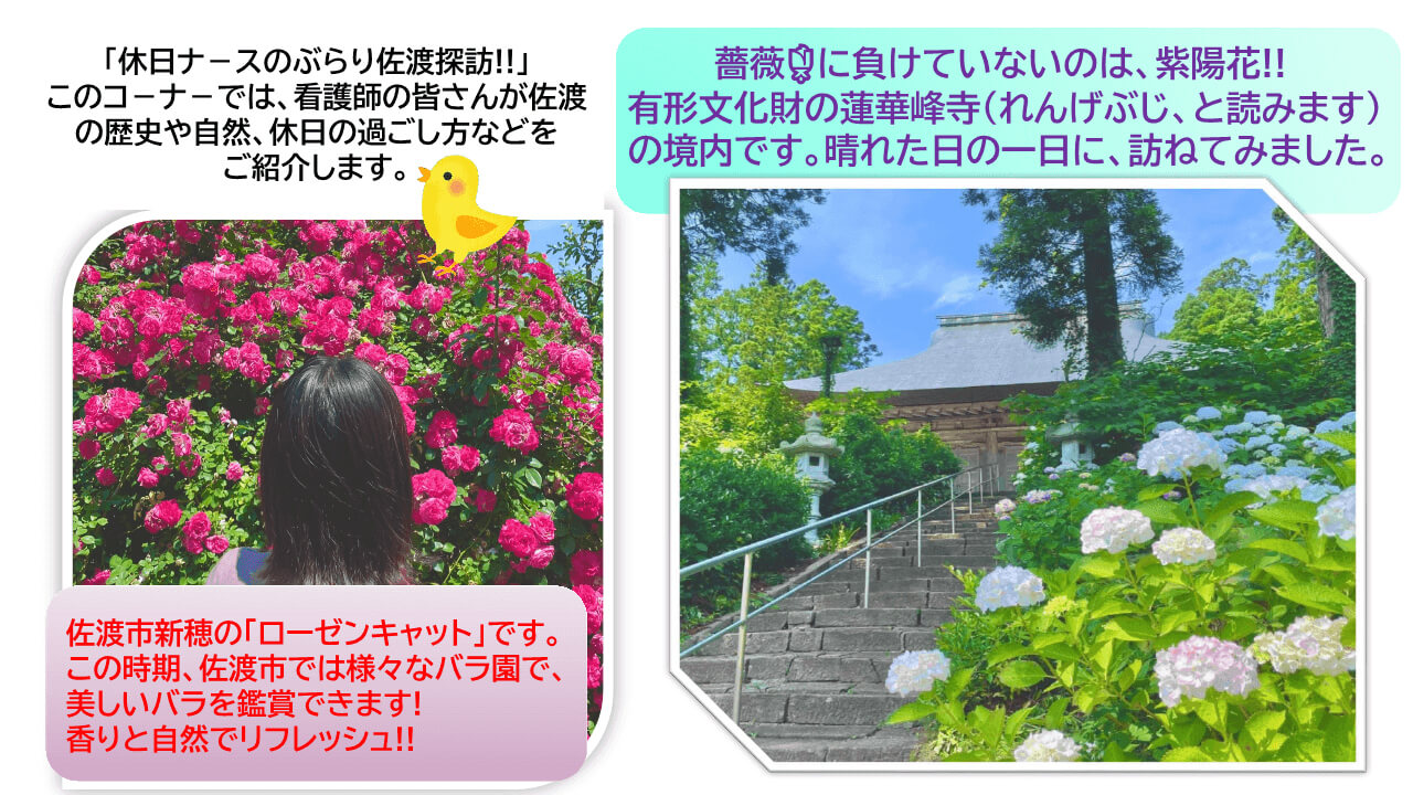 休日の訪問先のイメージ1